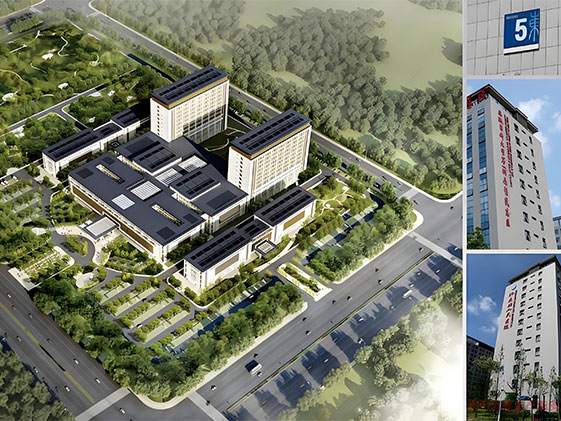 Anhui Medical University Hospital 